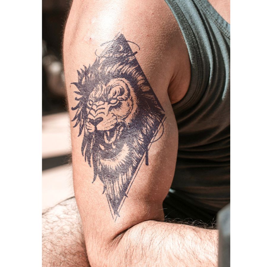 Lion / Tiger