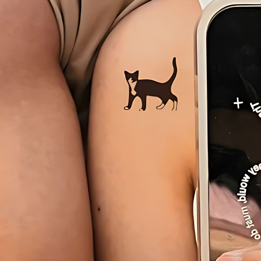 Meow or Mew