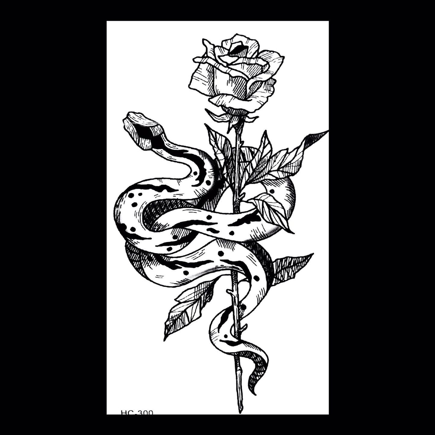 FT Snakes & Roses